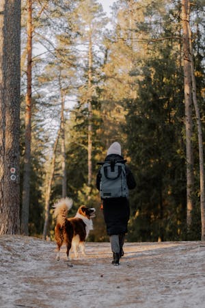 Woman Woods Dog Photos, Download The BEST Free Woman Woods Dog Stock