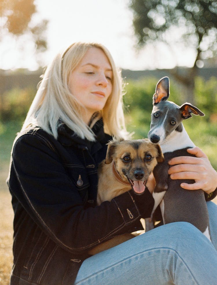 Woman Sitting Outside With Two Dogs 