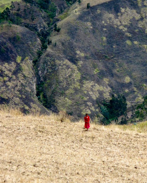 Darmowe zdjęcie z galerii z chodzenie, czerwona sukienka, dystans