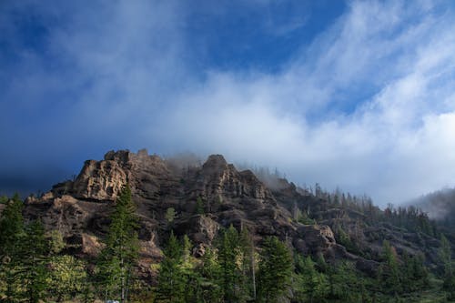 Бесплатное стоковое фото с белые облака, горы, деревья