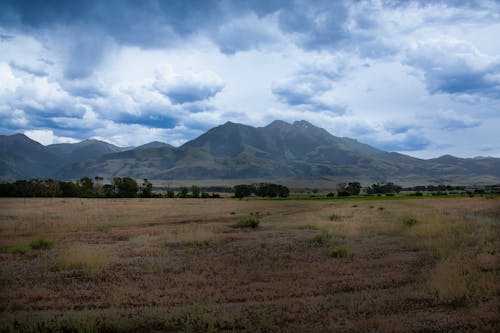 çimenlik, dağlar, hasat edilmiş tarla içeren Ücretsiz stok fotoğraf