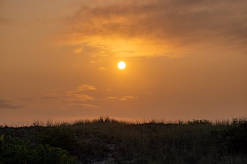 Sun Above a Field 