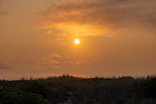 A tranquil scene of the sun setting over a peaceful grassy field with a golden sky.