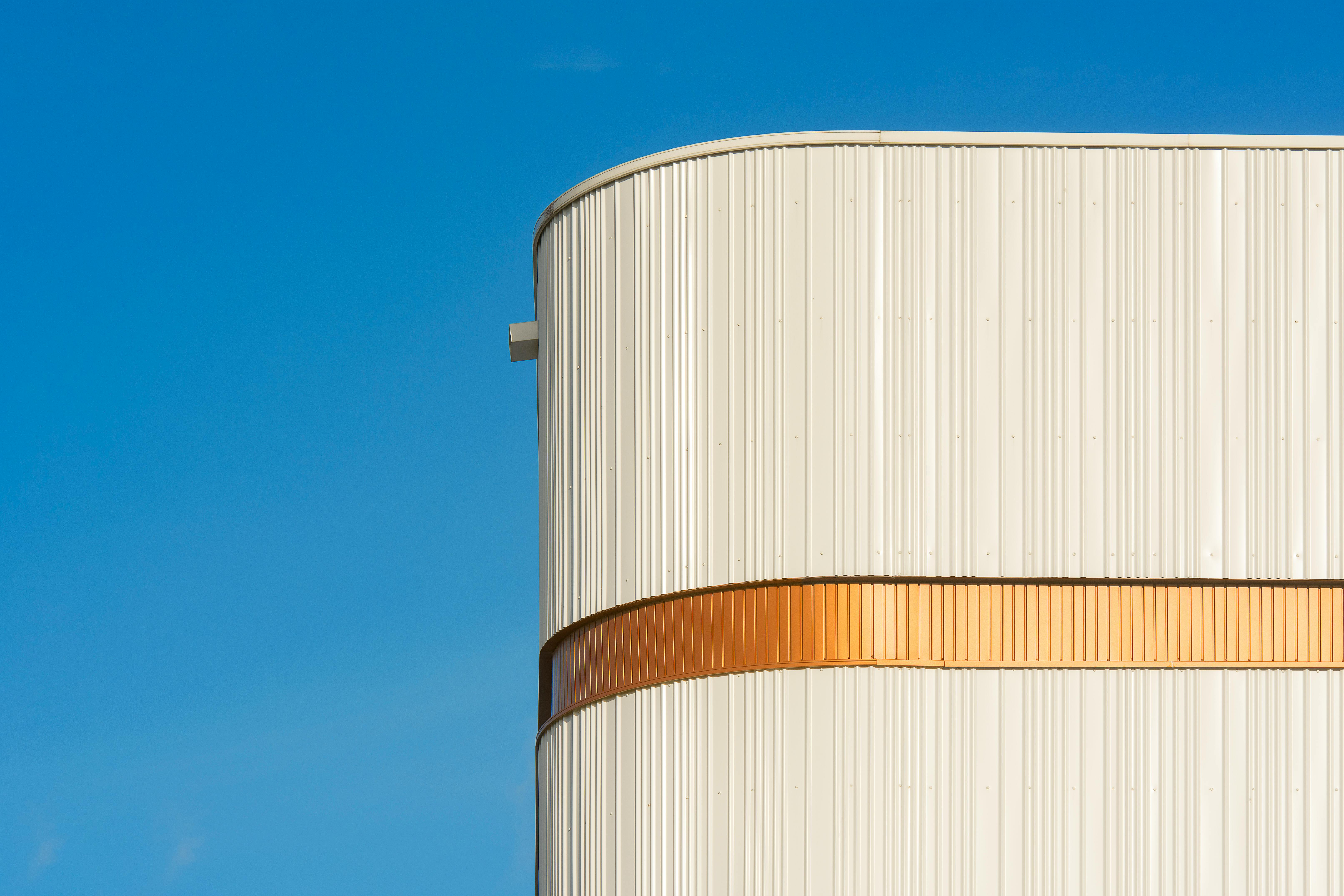 Amazon Data Center Linked to Cluster of Rare Cancers — Photo by Jan van der Wolf on Pexels