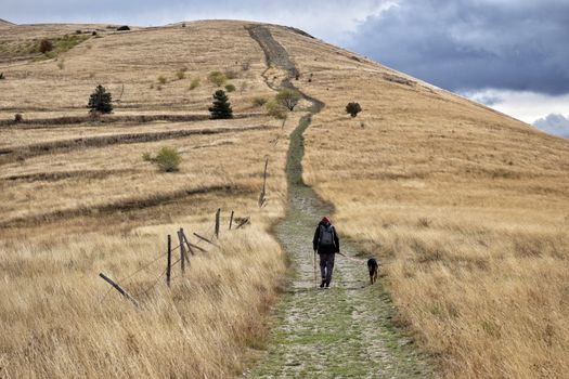 Kurgo Wander Dog Backpack (For the Owner) — gift idea