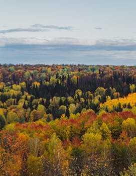 Image by Azamat Hatypov