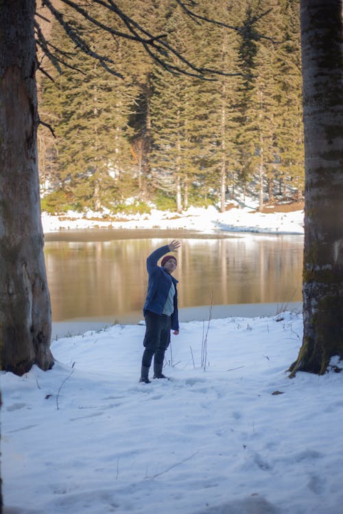 Foto profissional grátis de acenando, árvores, com frio
