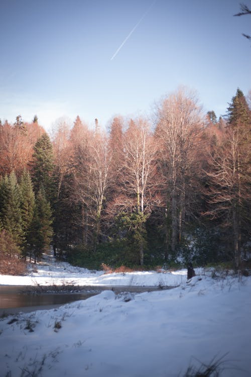 Kostenloses Stock Foto zu fluss, gefroren, landschaft