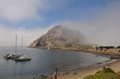 Morro Rock Beach in California, the Pacific Coast, USA