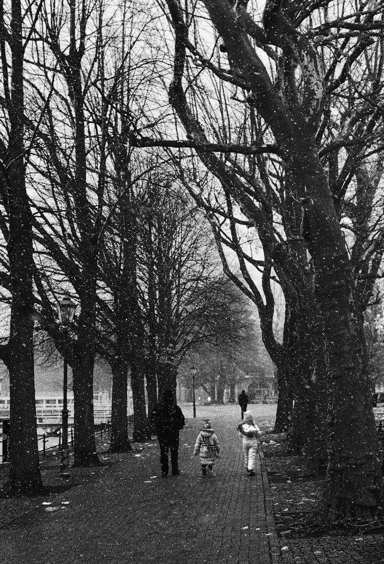 Family On A Walk In The Park In Winter