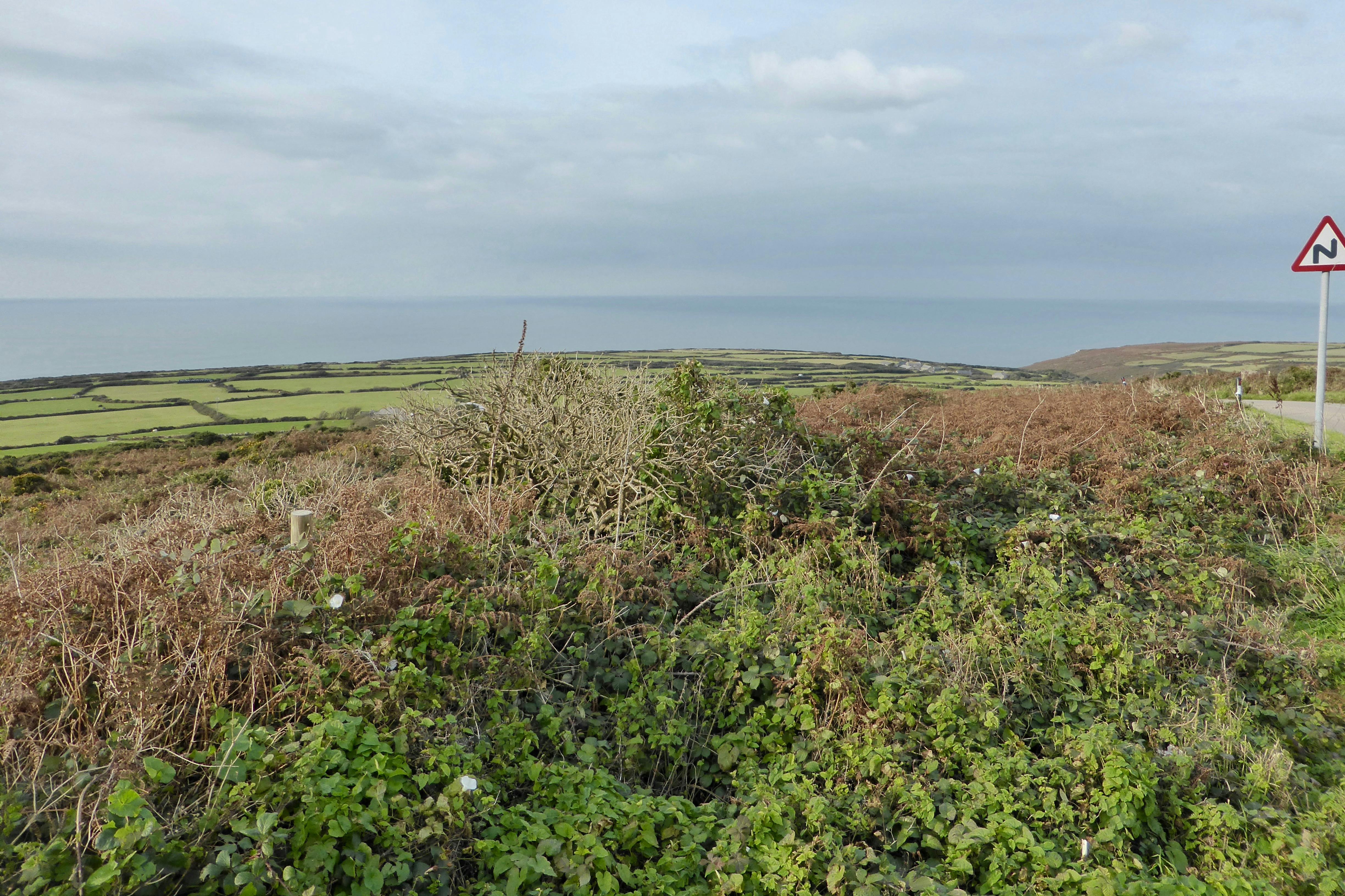 Malcolm Hill - Photography