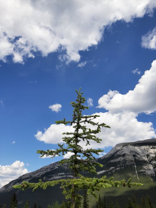 多雲的, 天性, 山 的 免费素材图片