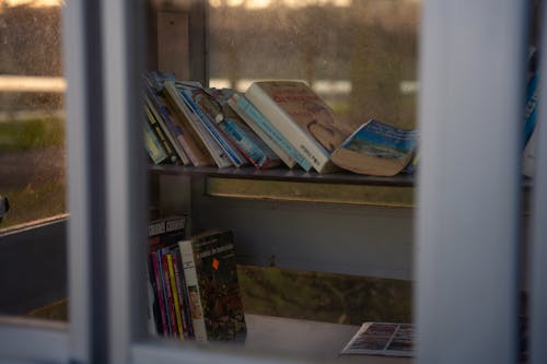 Бесплатное стоковое фото с библиотека, книга в мягкой обложке, книги