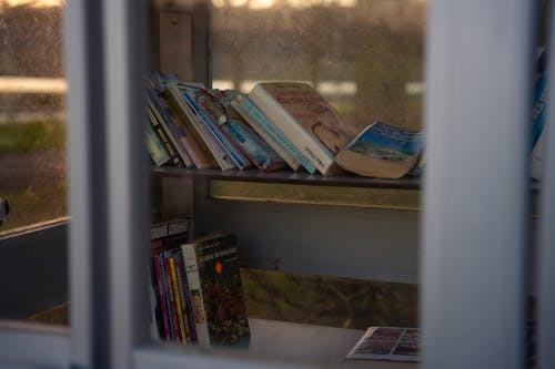 Kostnadsfri bild av bibliotek, böcker, hyllor