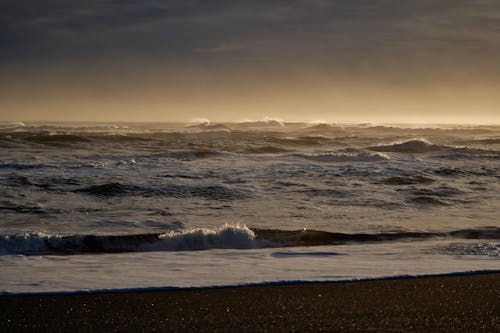 Foto stok gratis alam, gelombang, laut