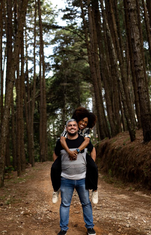 Fotos de stock gratuitas de a caballito, arboles, bosque