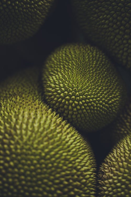 Close-up of a Pile of Jackfruit