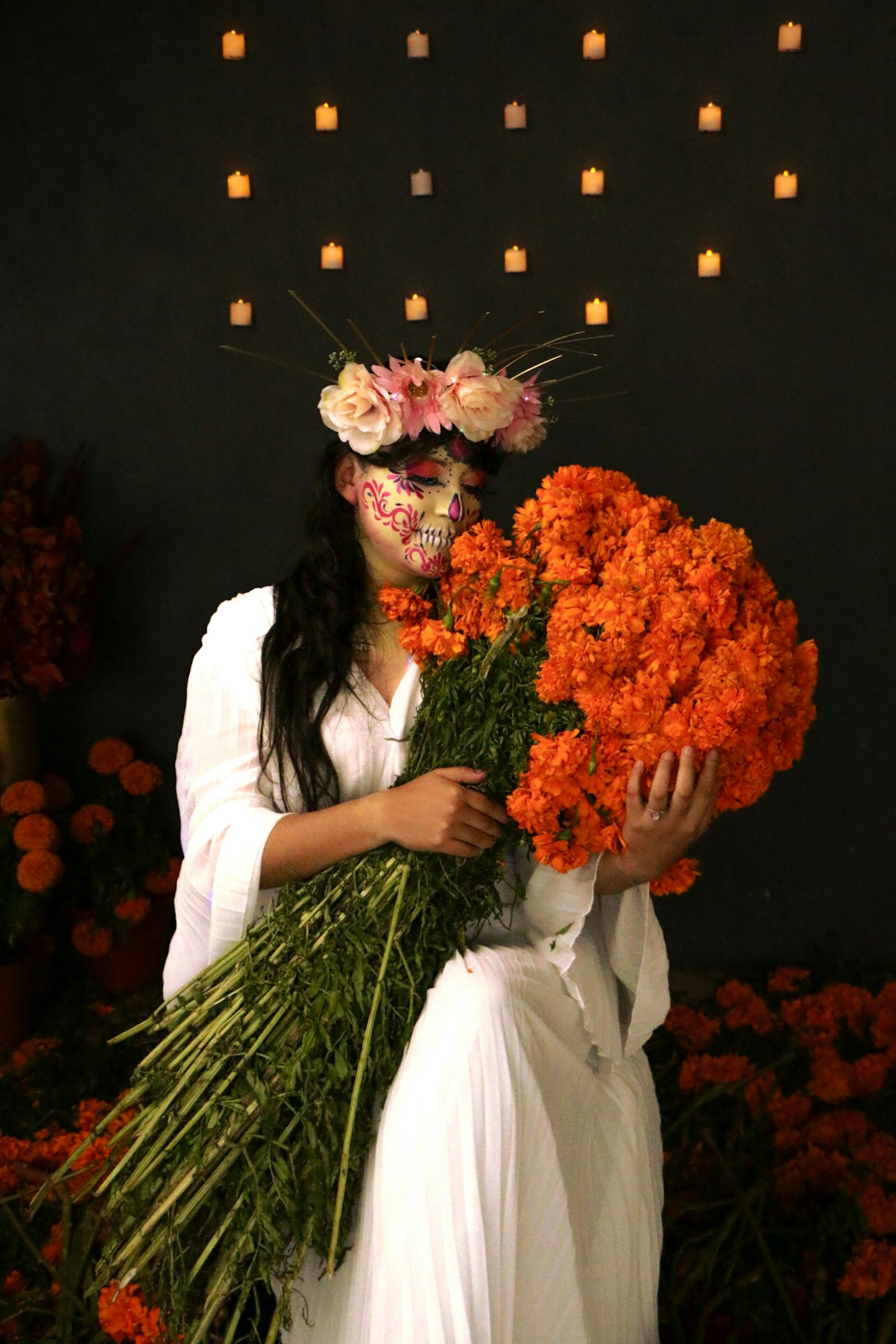 Marigold Flower Photos, Download The BEST Free Marigold Flower Stock ...