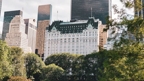 View of Skyscrapers from Central Park in New York City, New York, USA