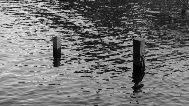 Artistic black and white photo of wooden poles in rippling water at San Carlos de Bariloche, Argentina.