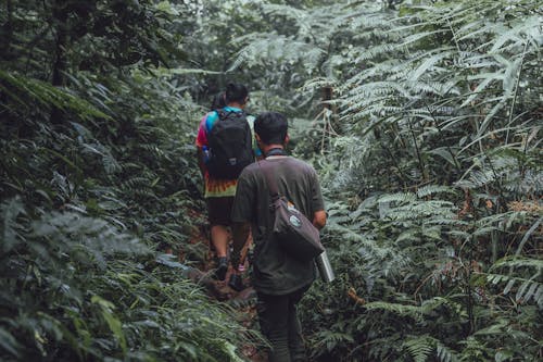 Men Hiking in Deep Forest