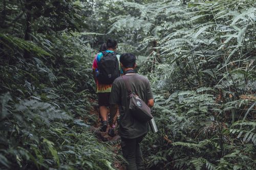 Free Two men hiking on a forest trail in Indonesia, surrounded by dense greenery. Stock Photo