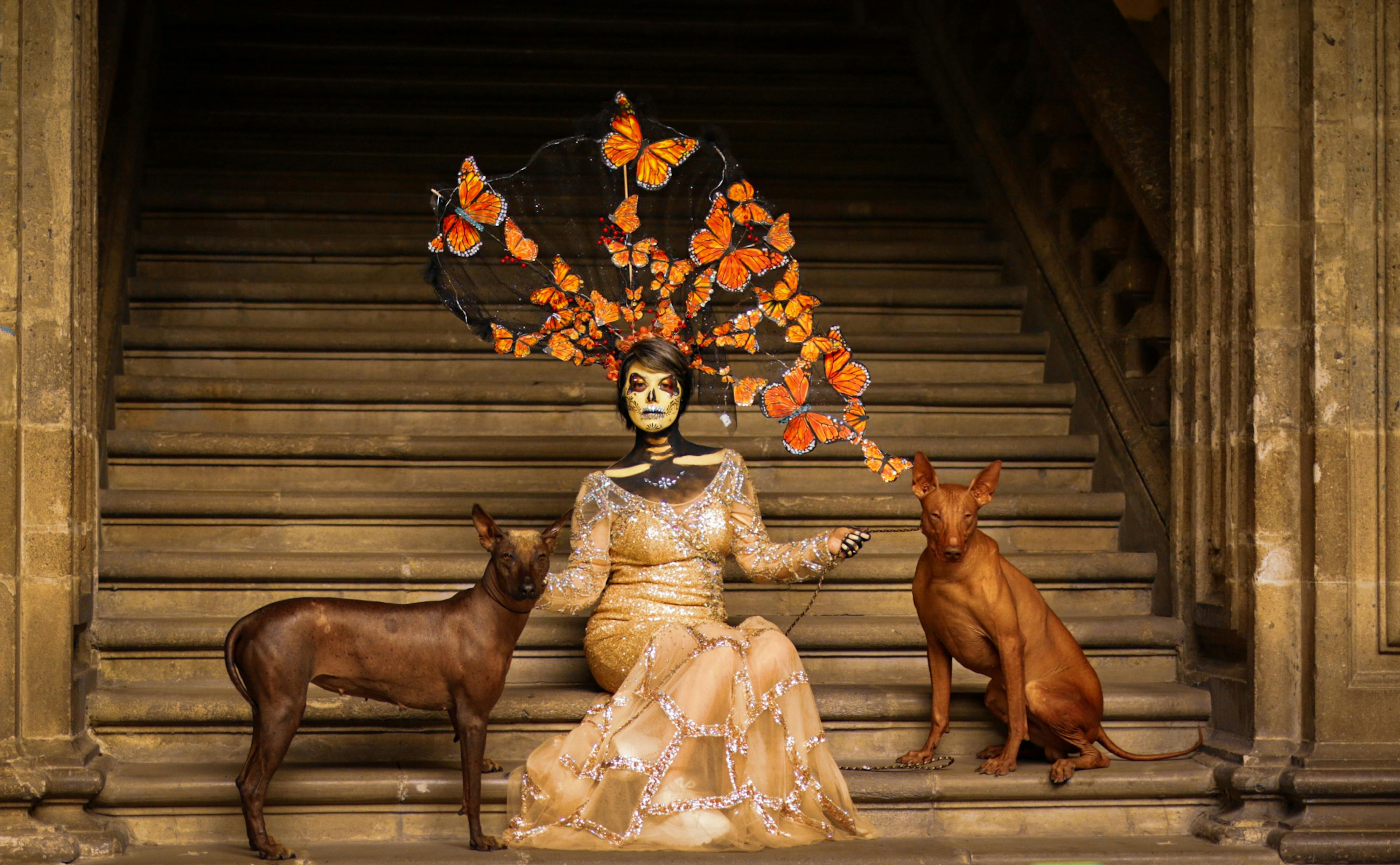 A woman in Catrina makeup with butterfly headdress and two dogs on stairs.