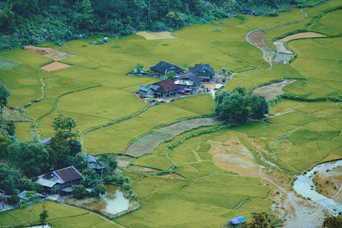 Farms Surrounded by Fields in the Valley