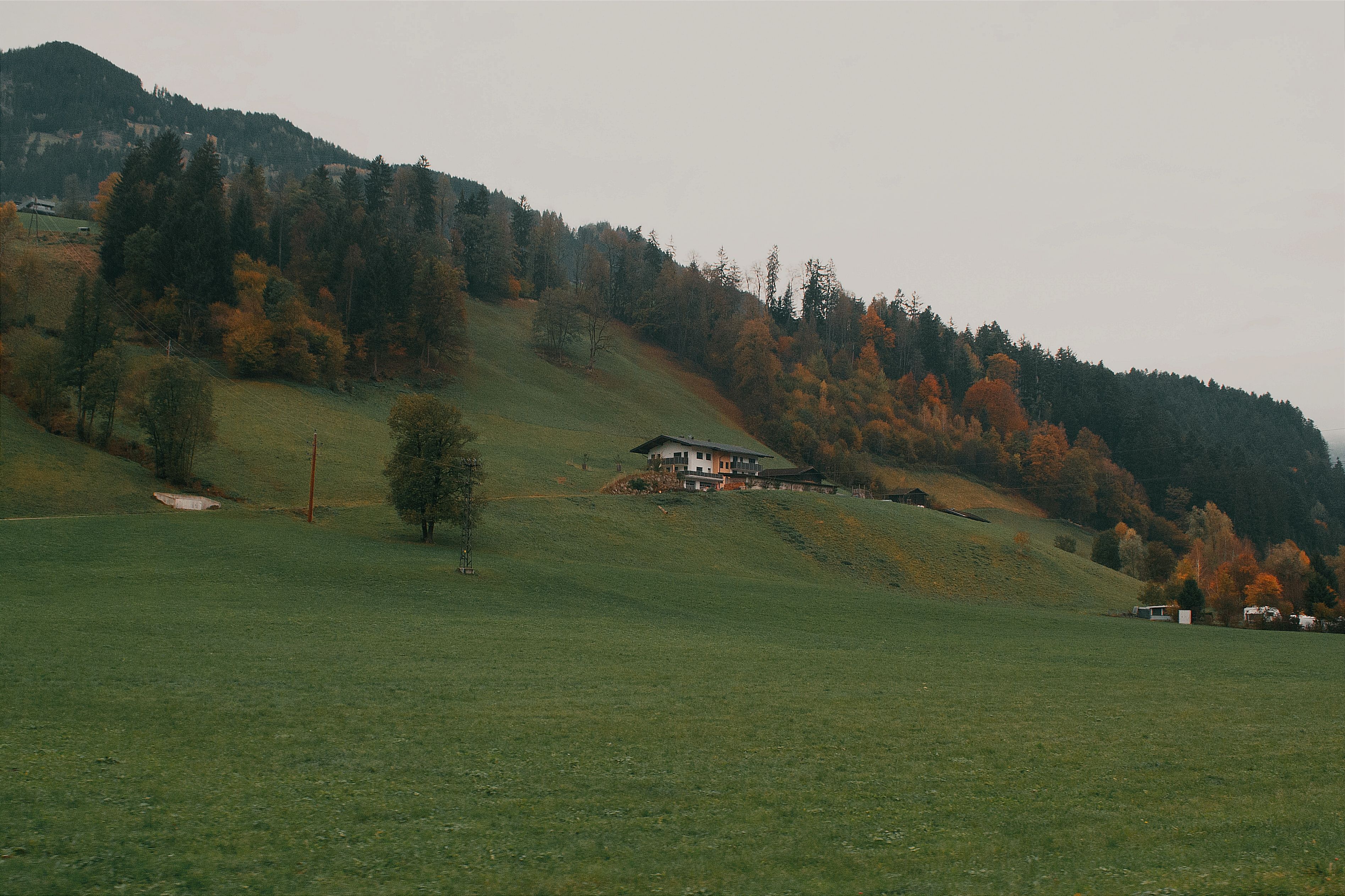 Peaceful hillside view in Tyrol, Austria, with vibrant autumn foliage and a quaint farmhouse.