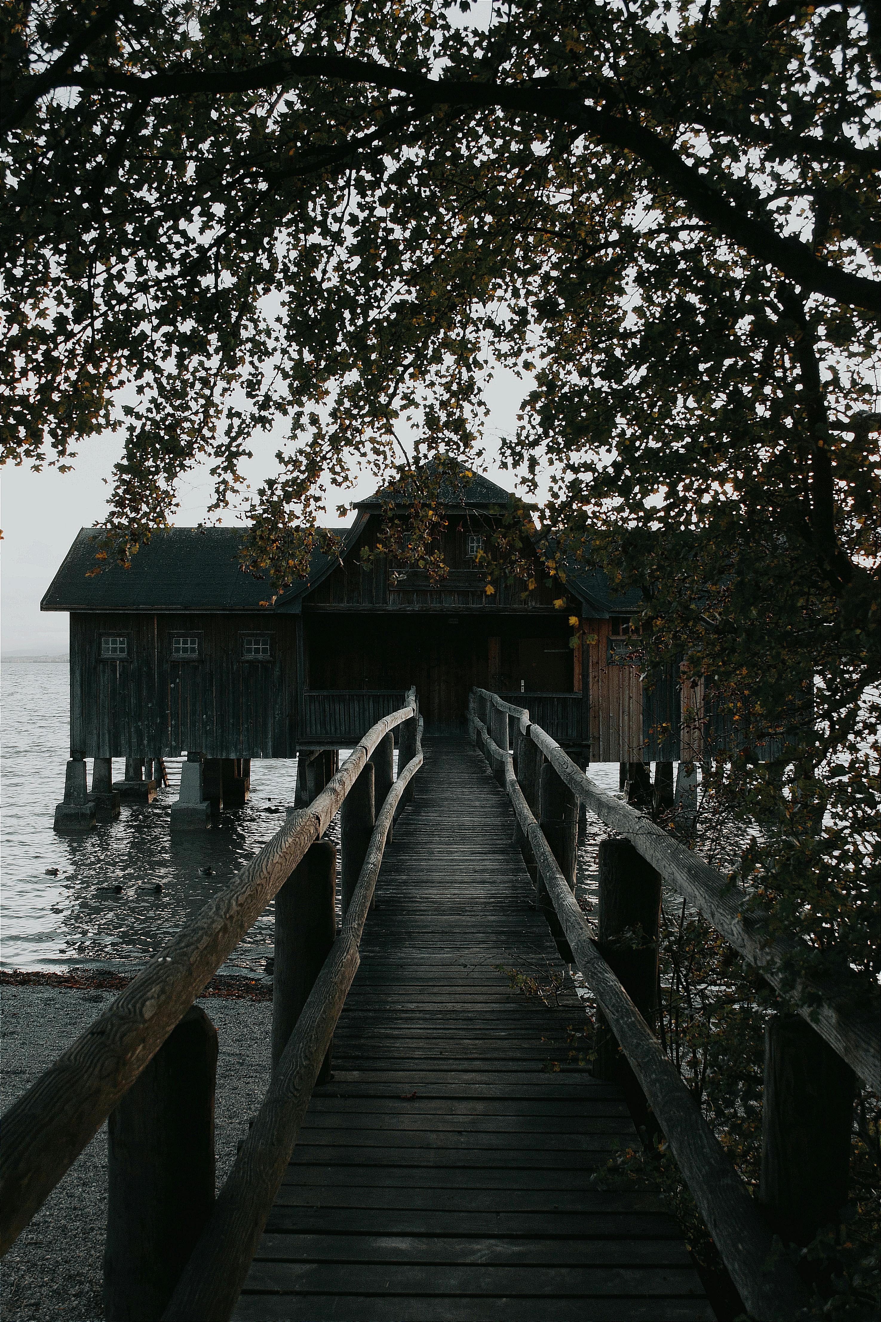 A serene lakeside scene featuring a rustic wooden pier leading to a cabin, framed by overhanging tree branches.