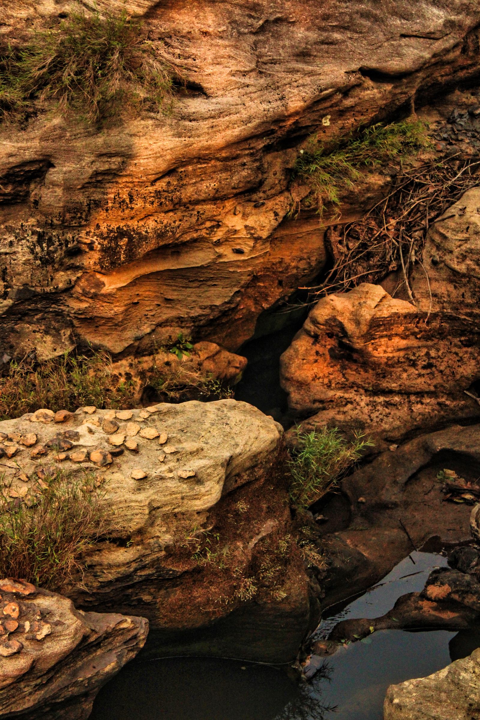 Red River Gorge, Kentucky