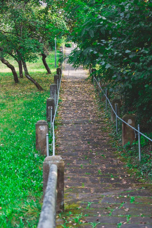 公園, 公園壁紙, 公園背景 的 免費圖庫相片