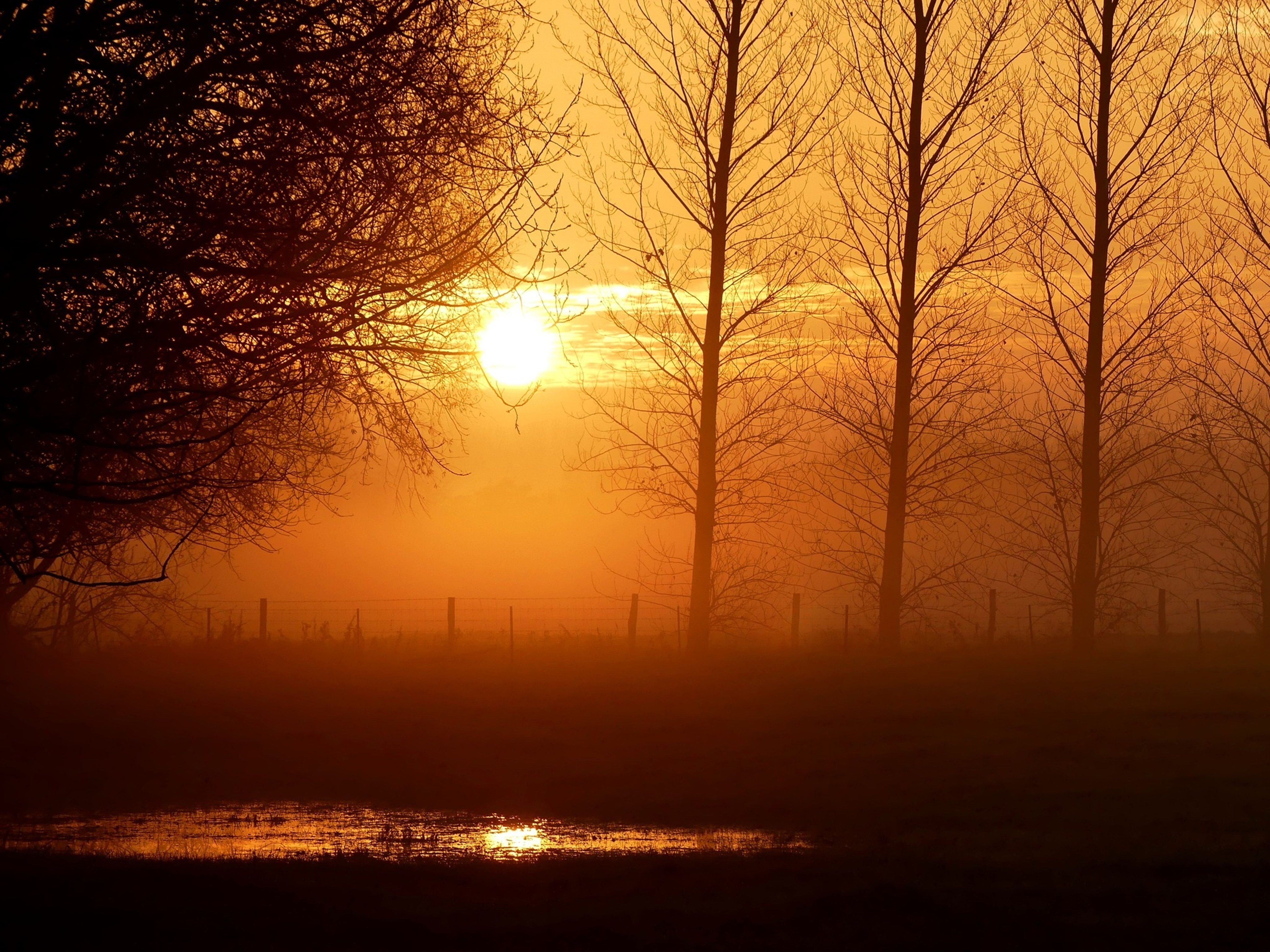 Friedlicher Sonnenaufgang über ruhiger Landschaft