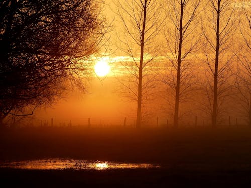 日出, 日落, 景觀 的 免費圖庫相片