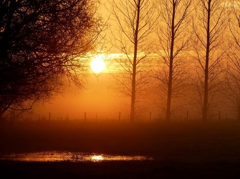 Captivating sunrise over a misty rural landscape with silhouetted trees and reflection in a puddle.