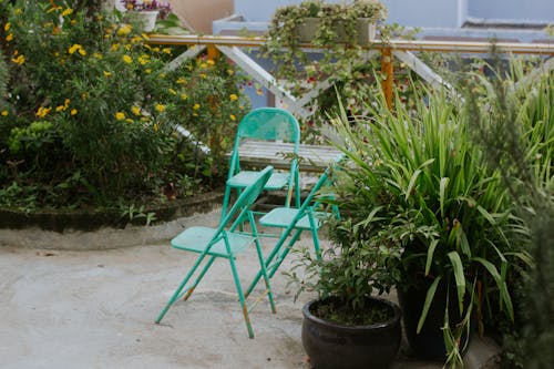Free stock photo of garden chairs, garden furniture, green bushes