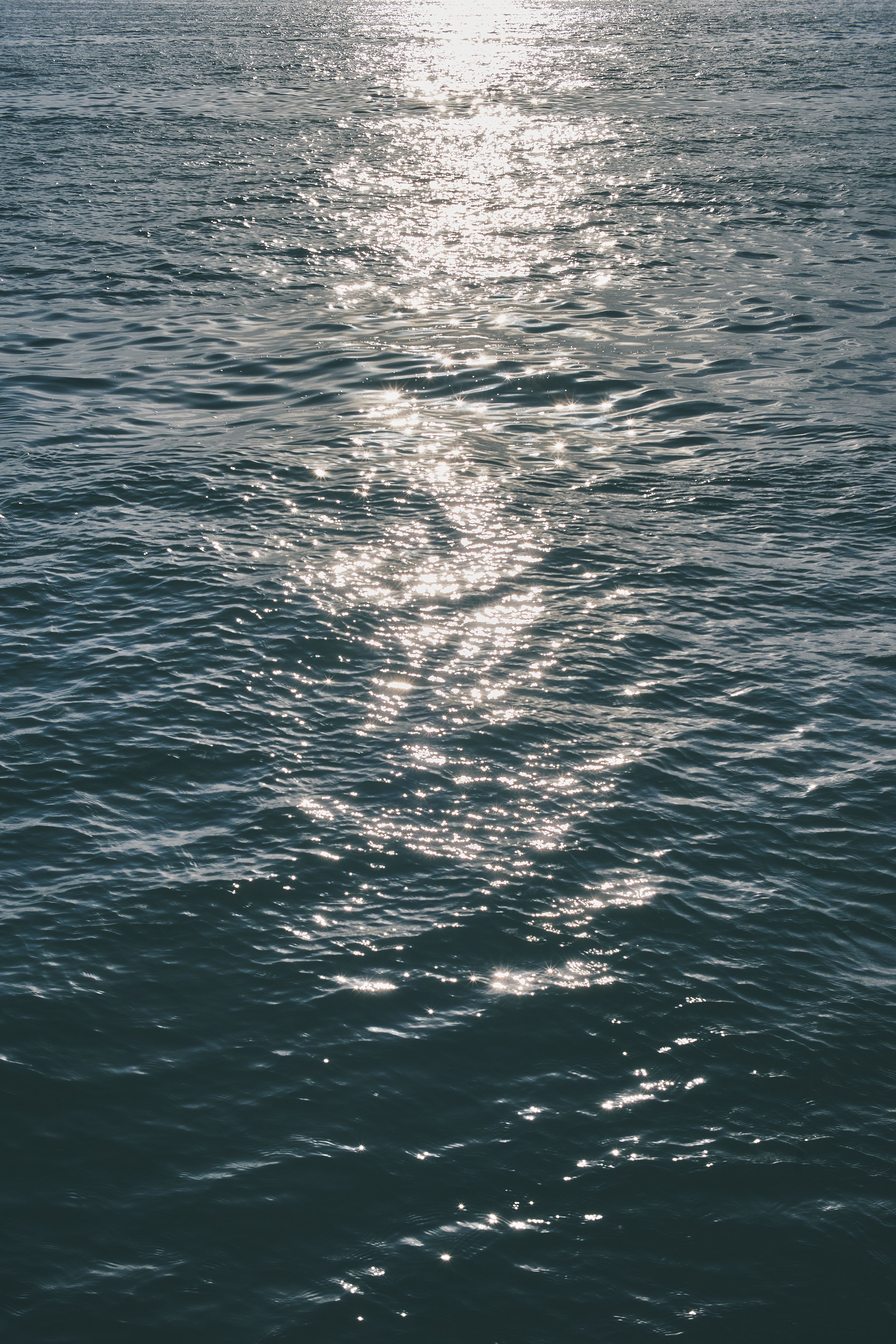 Sunlight Reflecting in the Ocean Surface · Free Stock Photo