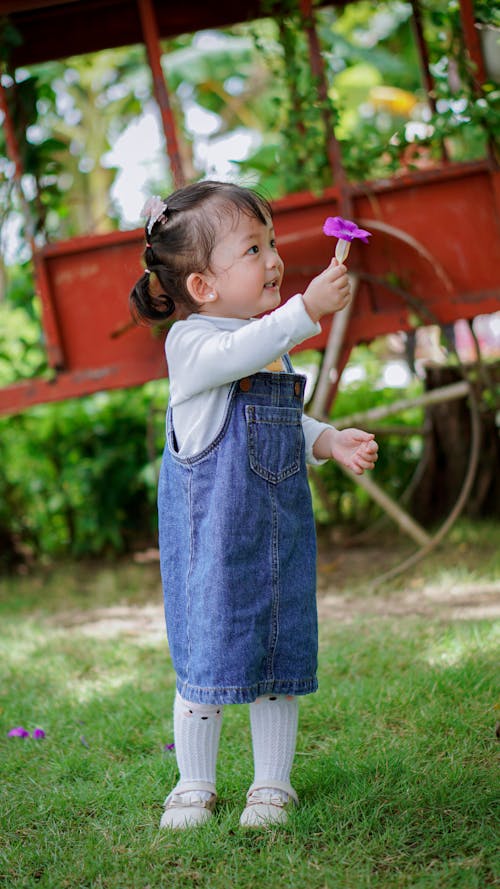 Free A Little Girl Standing Outside and Holding a Flower Stock Photo