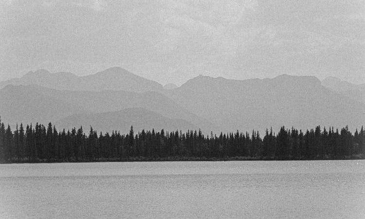 Lake With Forest And Hills Behind In Black And White