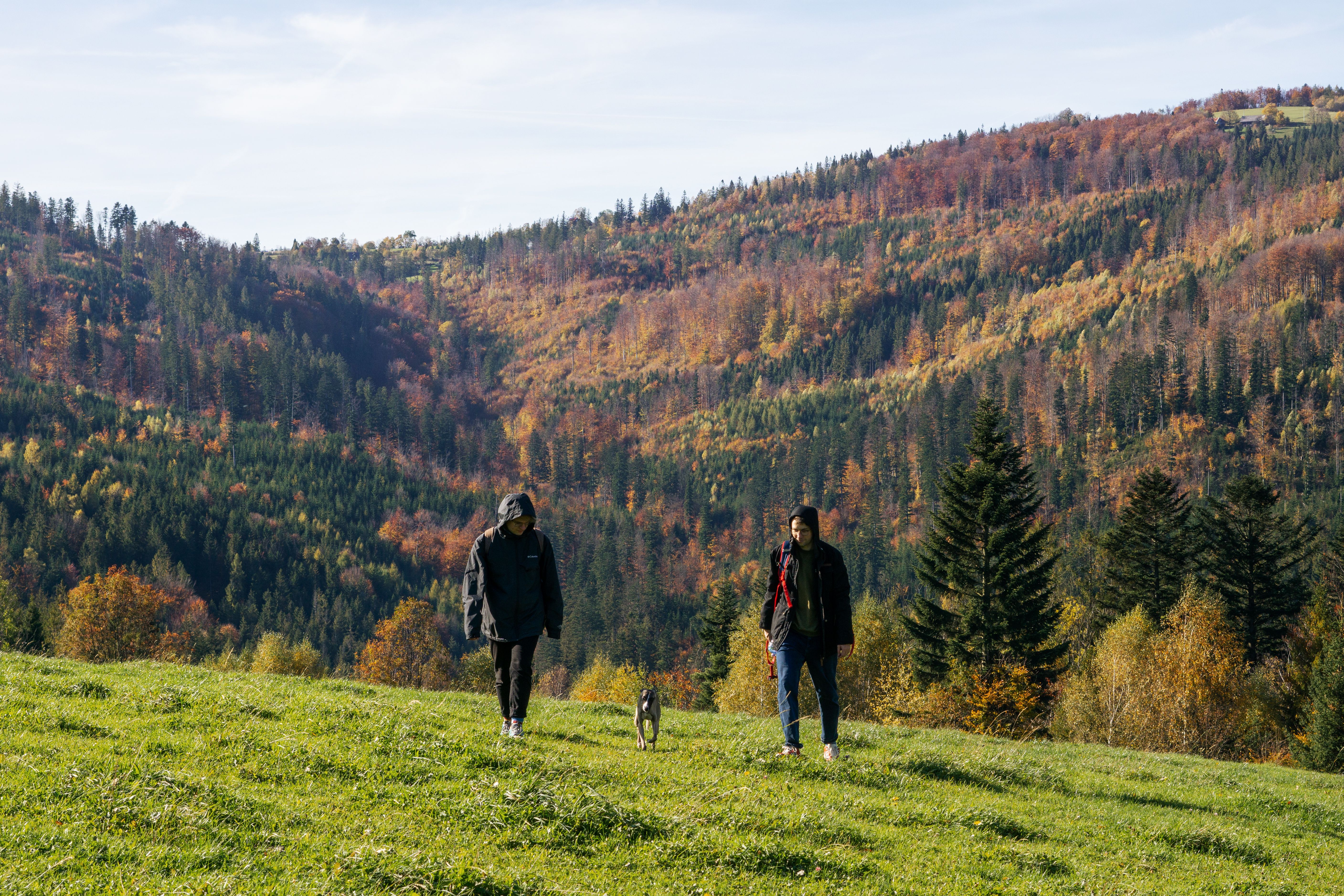 Two people walking with a dog in a picturesque autumn mountain setting.