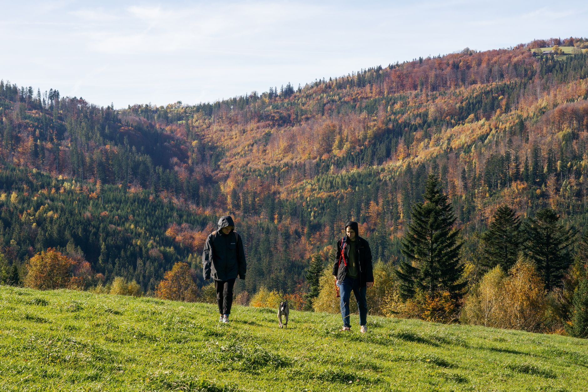 Two people walking with a dog in a picturesque autumn mountain setting.