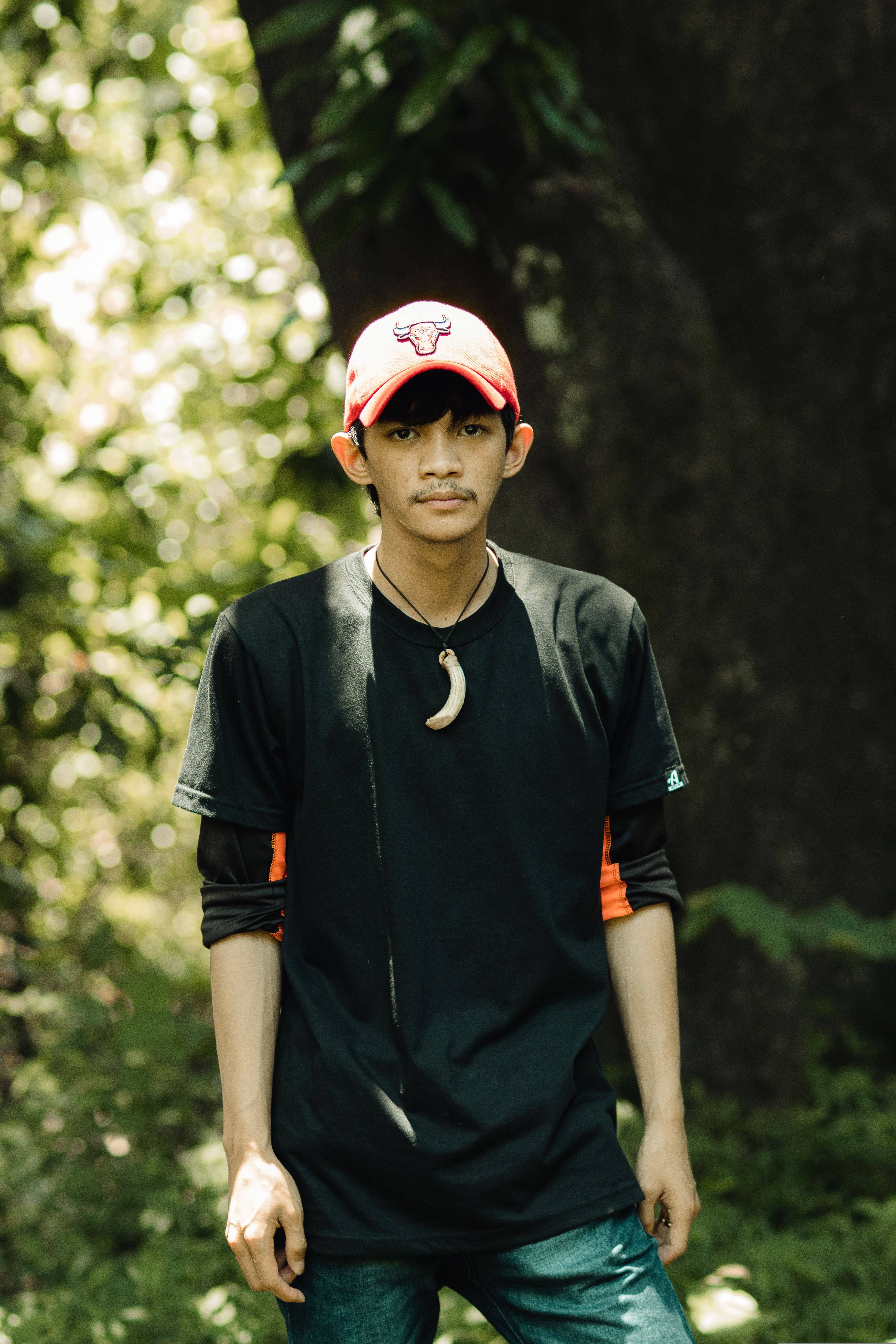 Hiker with a Backpack in the Forest · Free Stock Photo