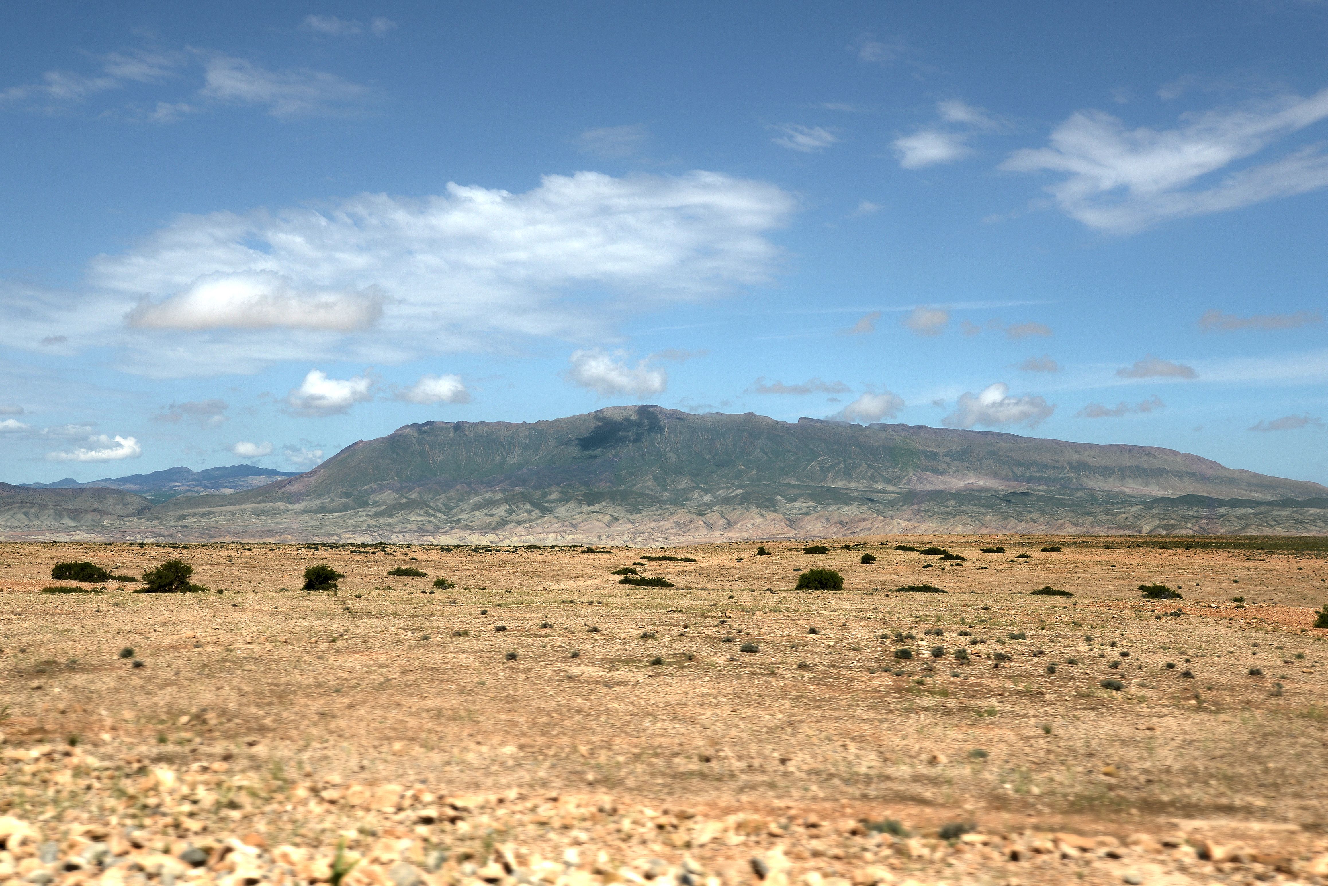 Wide view of a desert in Guercif, Morocco, featuring distant mountains and a clear blue sky.
