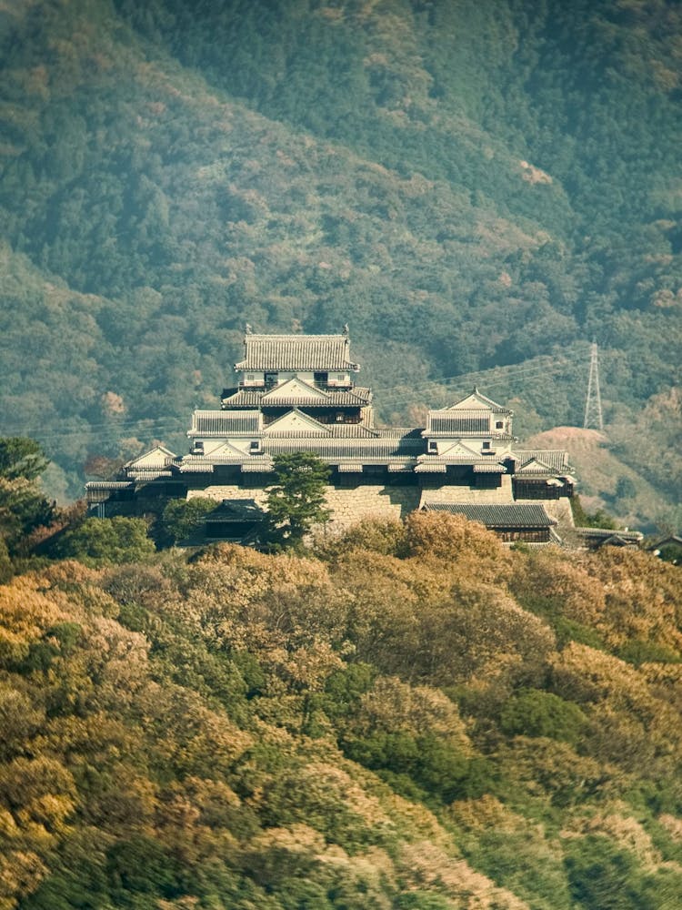 Matsuyama Castle On Mount Katsuyama