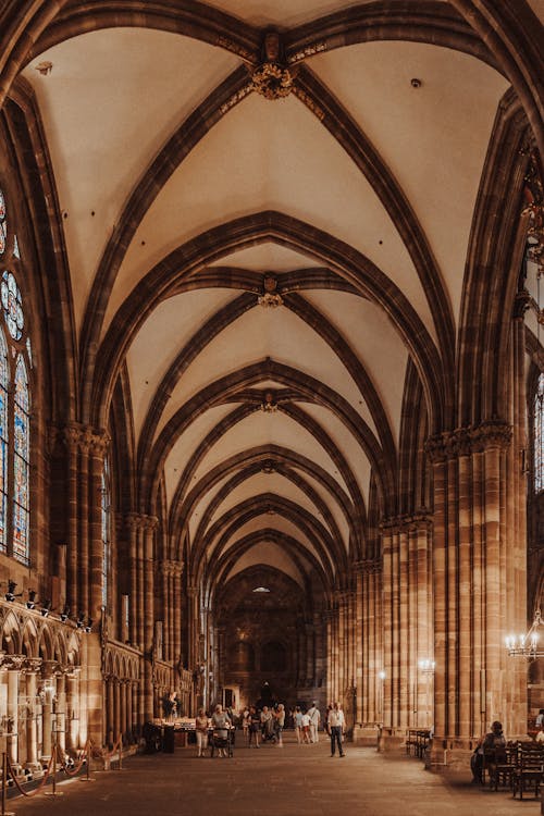 Darmowe zdjęcie z galerii z francja, gotycka architektura, katedra