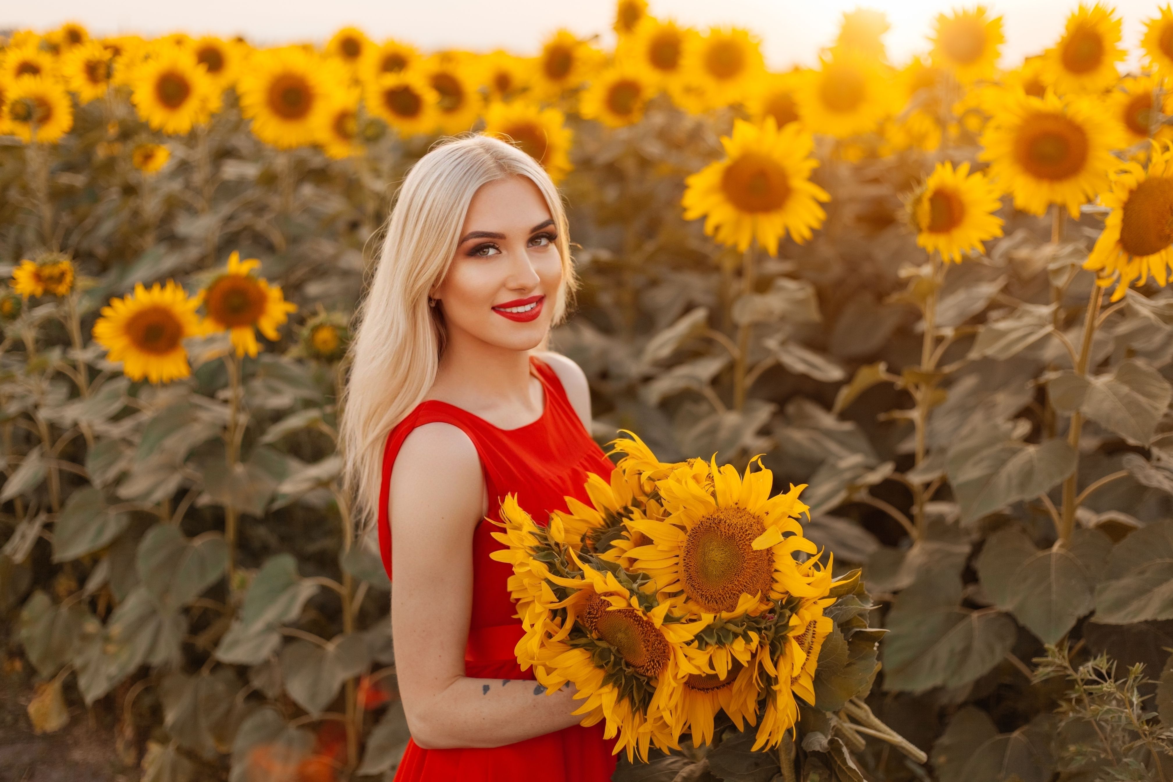 A Woman with Sunflowers · Free Stock Photo