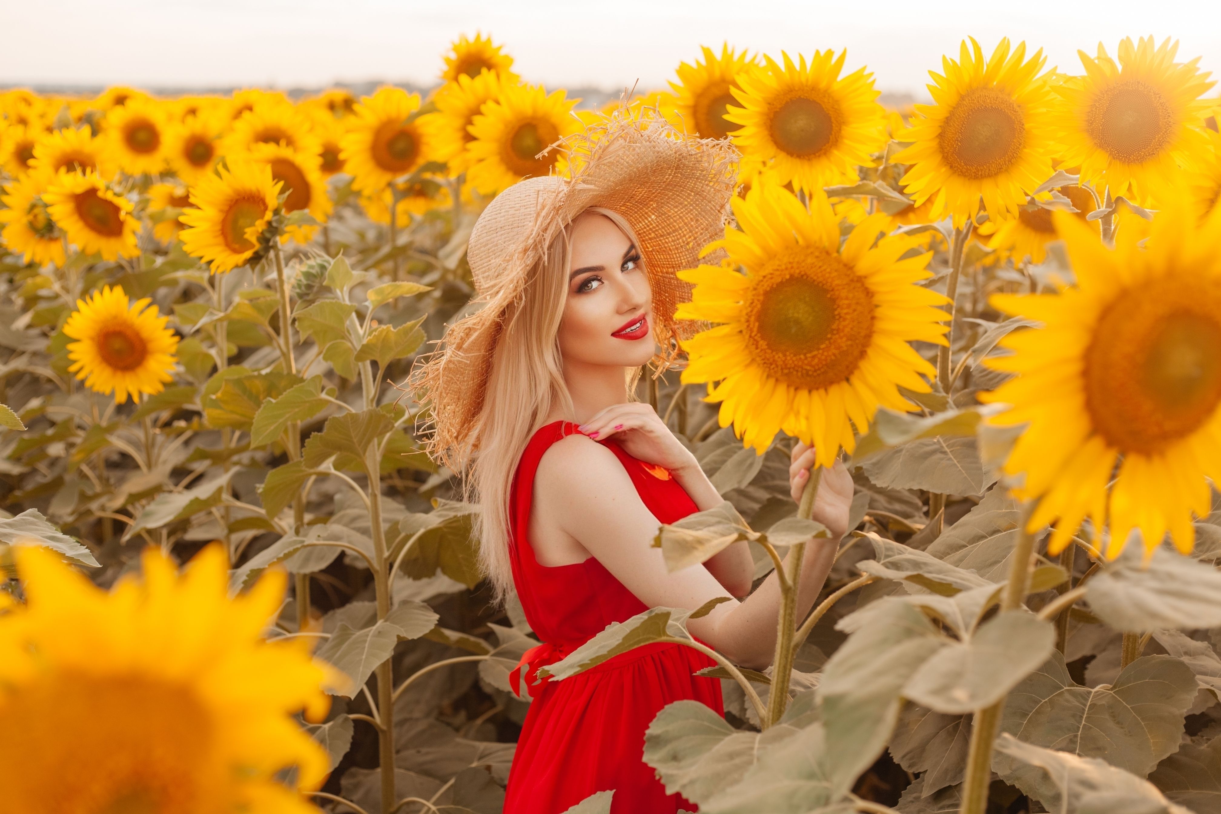 red dress in sunflower field Young Woman In A Field Of Sunflowers In A Red Dress Woman Holding Hat In Sunflower Field Stock Photo - Download Image Now
