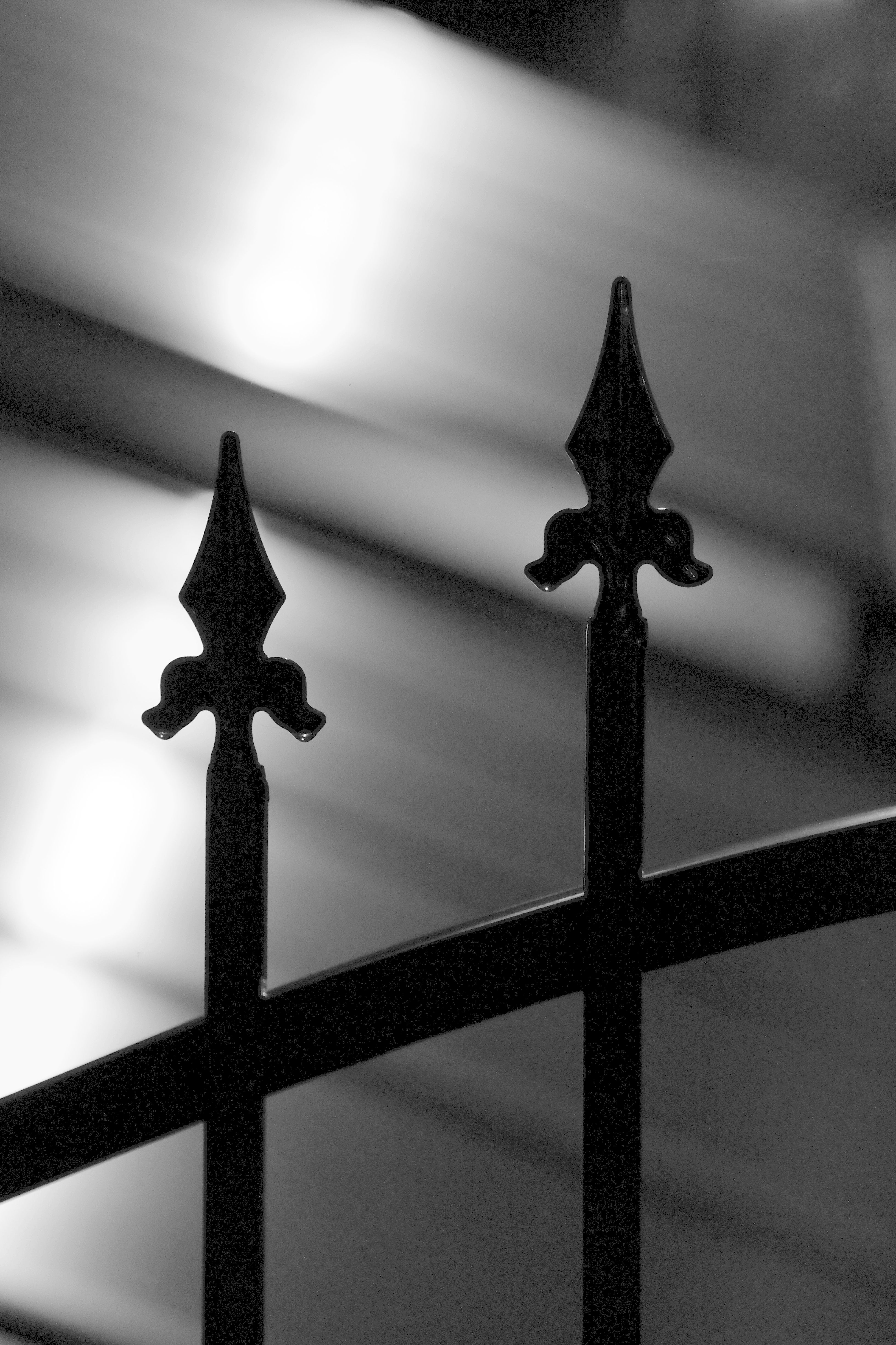 Black and white photograph of a wrought iron fence · Free Stock Photo