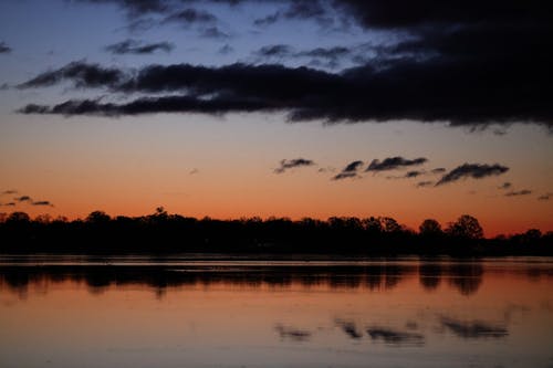 새벽, 숲, 실루엣의 무료 스톡 사진