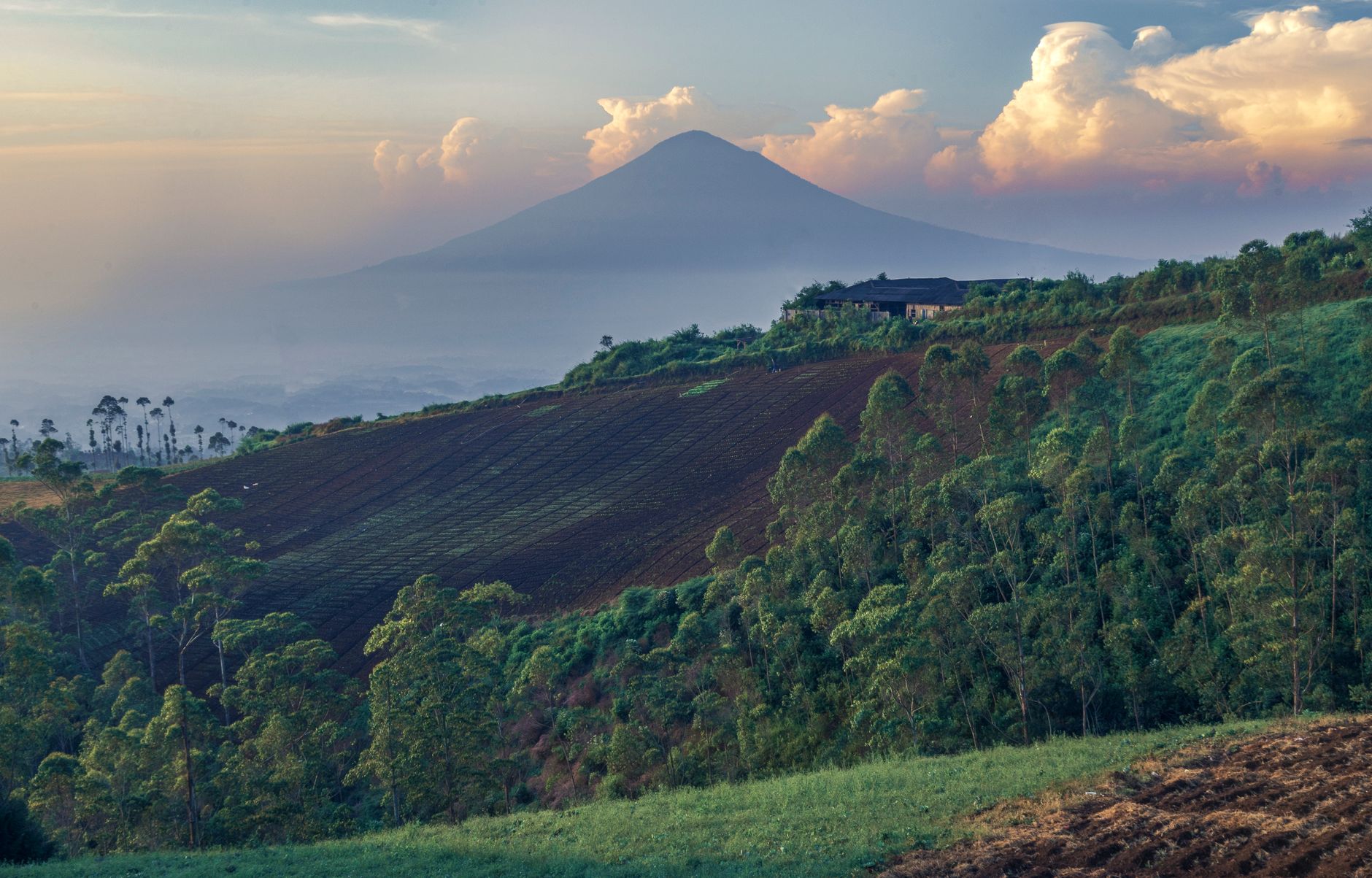 Mendaki Gunung Merbabu di Boyolali: Panduan Lengkap untuk Petualang Alam Jawa Tengah